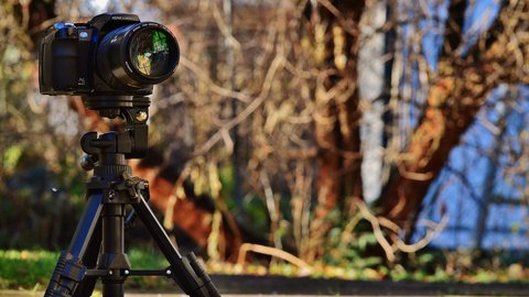 Banner: Fotografie